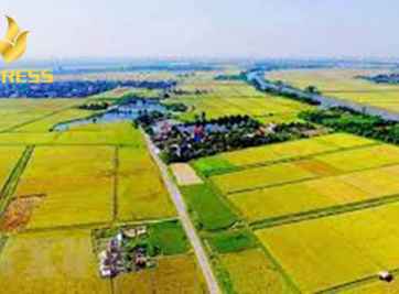 Tổng hợp các thông tin chi tiết về đất ruộng đền bù không phải ai cũng biết