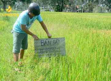 Đất ruộng Kiên Giang và những thông tin mới nhất năm 2021