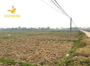 Tìm hiểu thông tin liên quan đến đất nông nghiệp 10