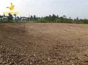 Có nên mua đất ruộng Gò Công Đông hay không?