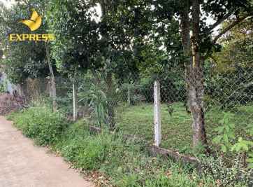 Tất tần tật kinh nghiệm đầu tư đất nông nghiệp 20 năm 