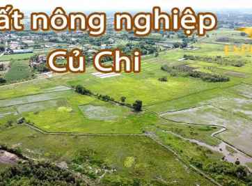 Đất ruộng huyện Củ Chi chuyển đổi thành đất thổ cư