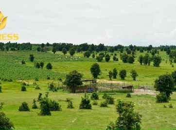 Tìm hiểu tất tần tật về đất nông nghiệp 2021