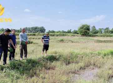 Đất ruộng An Giang - Vùng đất để làm giàu