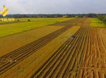 Đất ruộng vườn Hậu Giang có nên đầu tư vào hay không?