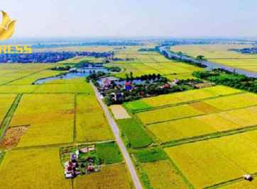 Giải đáp nhanh: đất ruộng được sử dụng bao nhiêu năm?