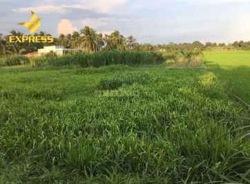 Thông tin quy hoạch tỉnh Tiền Giang và đất ruộng Gò Công Tây