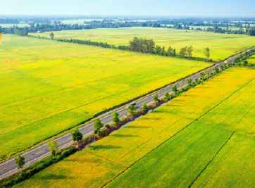 Góc hỏi: Có nên đầu tư vào đất ruộng Hậu Giang không?