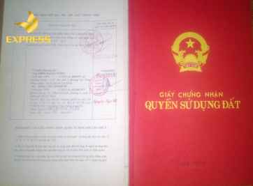 Đất ruộng là sổ gì? Điều kiện và thủ tục để cấp sổ đỏ