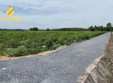 Đất ruộng miền Tây - Tiềm năng vượt trội của thị trường BĐS