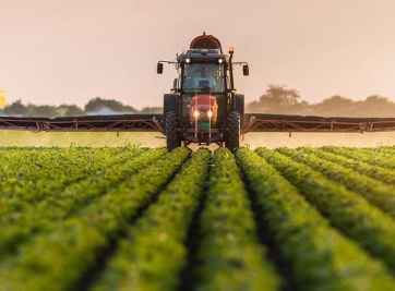 Đất ruộng giá bao nhiêu? Đất nông nghiệp phân loại thế nào?