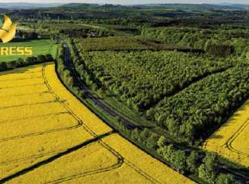 Góc đầu tư: Có nên mua đất ruộng ở Thới Lai Cần Thơ? 