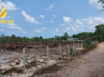 Lựa chọn đất ruộng Phú Quốc và nhìn về tiềm năng sinh lời.