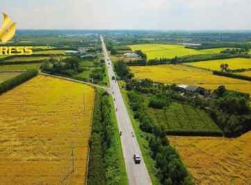 Kinh nghiệm mua đất ruộng Trà Vinh bạn nên biết 