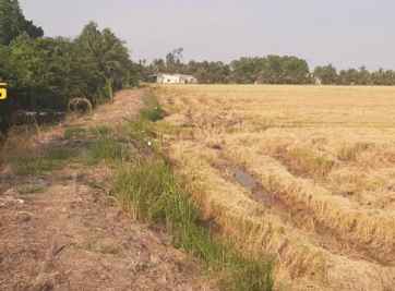 Đất ruộng Vĩnh Hiệp và sự phát triển vượt bậc thu hút các nhà đầu tư