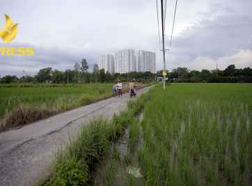 Đất ruộng xã Mỹ Lộc - nên hay không nên đầu tư?