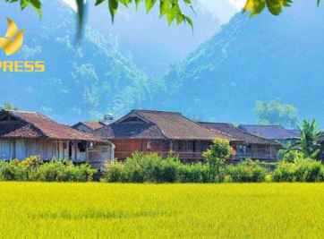 Những điều cần biết khi sử dụng đất ruộng xây nhà 2023