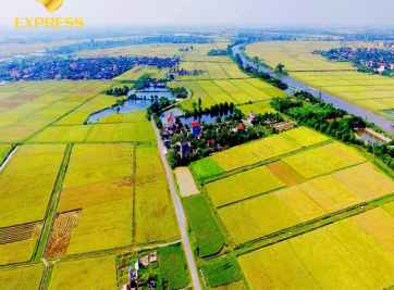 Kinh nghiệm đầu tư đất ruộng xã Phong Mỹ huyện Cao Lãnh 