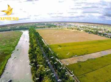 Tại sao có nhiều nhà đầu tư chọn mua đất ruộng Ninh Hòa?