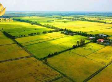 Cách trao đổi và mua bán đất ruộng Sóc Trăng