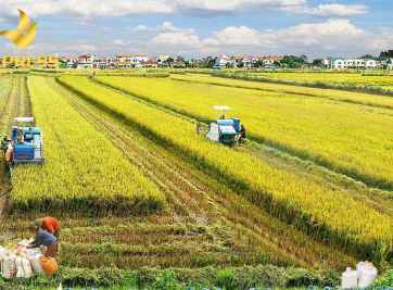 Tổng chi phí khi thực hiện chuyển đổi đất ruộng lên đất thổ cư bao nhiêu tiền?