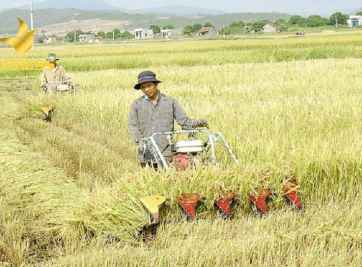 Những điều cần lưu ý khi mua bán đất ruộng Diên Phú