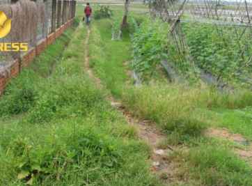 Tại sao đất ruộng Nha Trang lại được săn đón nhiều đến vậy?