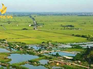 Tất tần tật những điều bạn cần biết về đất ruộng huyện Cao Lãnh