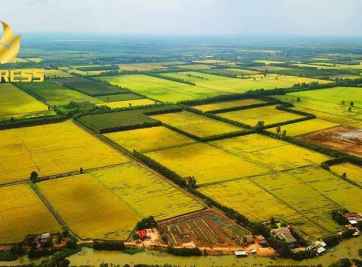 Tiềm lực kinh tế của đất ruộng An Giang những năm gần đây