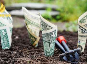 Thị trường bất động sản và hiện tượng tăng đất ruộng p5 Sóc Trăng