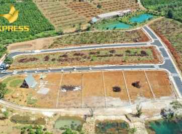 Hiện tượng phân lô, bán nền đất ruộng huyện Châu Thành Đồng Tháp