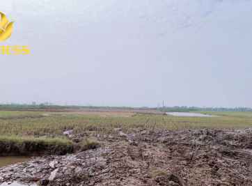 Tiềm năng đầu tư lớn vào đất ruộng Vĩnh Hưng, Long An