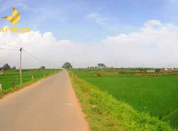 Tham khảo về tình hình bán đất ruộng Kiên Lương 