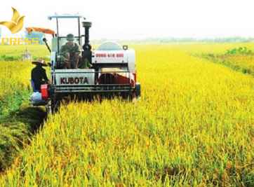 Cách chọn lựa mua khu đất ruộng Phú An Bến Cát hiện nay