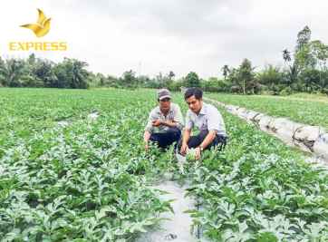 Lưu ý khi tìm mua đất ruộng Cần Thơ - Đất nông nghiệp Cần Thơ