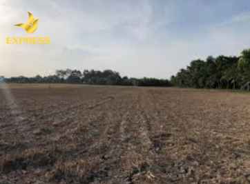 Đất ruộng Cầu Kè và những lưu ý không nên bỏ qua