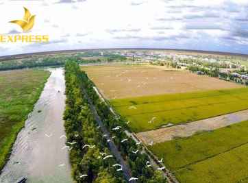 Những lưu ý khi mua bán đất ruộng Tân An