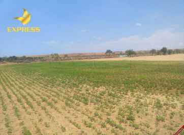 Những rủi ro cần tránh khi mua bán đất ruộng Ô Môn