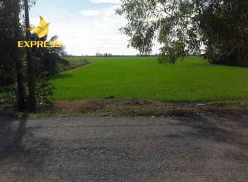 Một số lưu ý khi mua bán đất ruộng Kiên Lương giá rẻ 