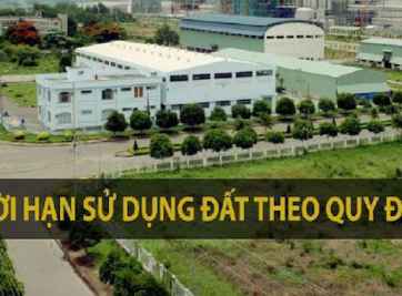 Góc giải đáp: Luật quy định thời hạn sử dụng đất trồng cây lâu năm là bao lâu?
