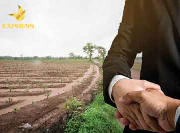 Các lưu ý khi chọn mua đất ruộng Phú An Bến Cát Bình Dương