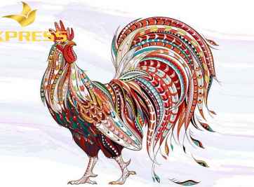 TUỔI ĐINH DẬU MỆNH GÌ? NẾU MUỐN XÂY NHÀ THÌ CHỌN HƯỚNG NÀO?