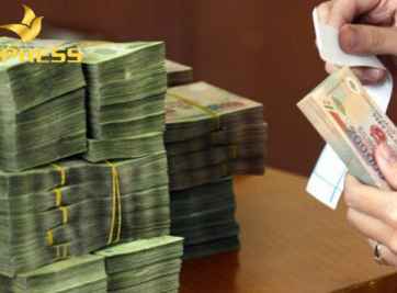 Vốn Sự Nghiệp Có Tính Chất Đầu Tư Là Gì? Vai Trò Và Đối Tượng Sử Dụng Vốn Sự Nghiệp 