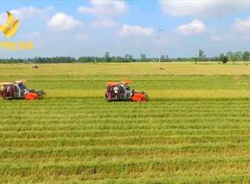 Đánh giá về tính khả thi khi đầu tư mua nhà, mua đất nền, đất ruộng Vị Thanh