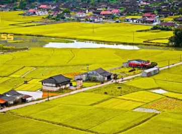 [Chi tiết] Thủ tục sang tên sổ đỏ cho đất ruộng 2023