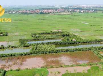 Đầu cơ đất ruộng vườn là thời cơ hay thách thức đối với người làm kinh doanh?