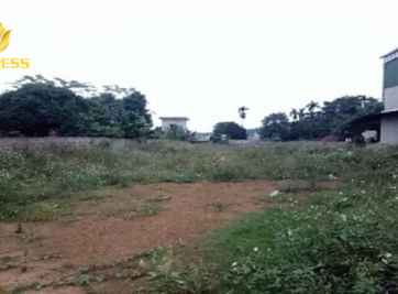 Có nên đầu tư đất thổ cư rẻ ở Hà Nội - Tiềm năng là gì?