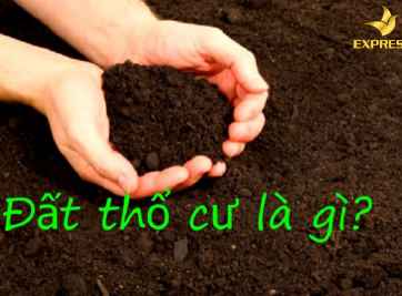 Tiềm năng khi chuyển đổi từ đất thổ cư lên đất ở