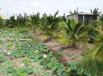 Đất vườn có bán được không? Kinh nghiệm mua bán đất vườn