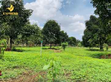 Các rủi ro thường gặp khi mua đất vườn giá rẻ.